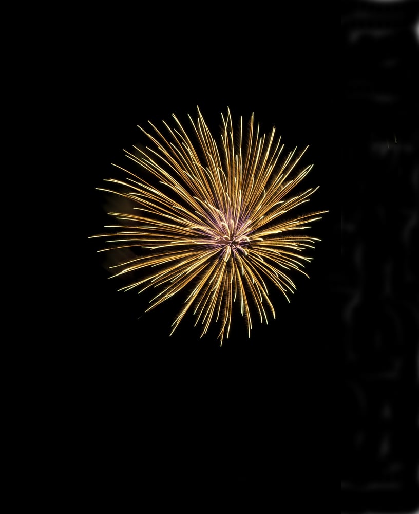 Burst of fireworks like a flower