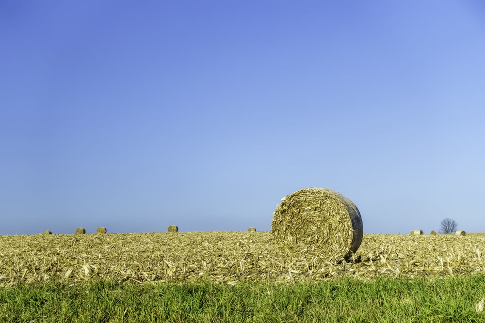 Ready for pickup Round bale of hay on a harvested field, with similar bales on the horizon, on a sunny afternoon in autumn, with plenty of copy space in clear blue sky